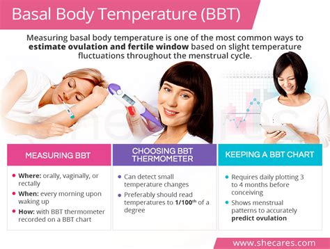 Basal Body Temperature Ovulation Thermometer Delicate Colors ...