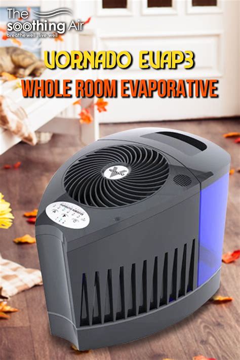 Top 10 Evaporative Humidifiers (March 2021): Reviews and Buyer's Guide ...