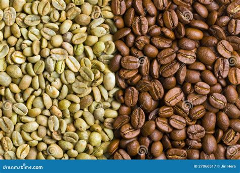 Green And Roasted Coffee Beans Royalty Free Stock Photography - Image: 27066517