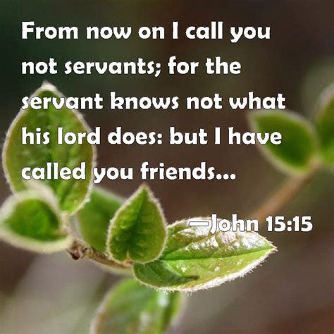 John 15:15 From now on I call you not servants; for the servant knows not what his lord does ...