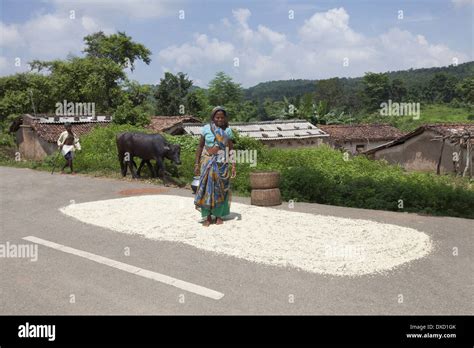 Oraon tribe hi-res stock photography and images - Alamy