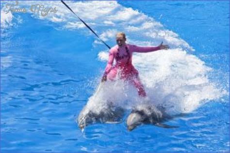 SeaWorld Orlando Shows - ToursMaps.com