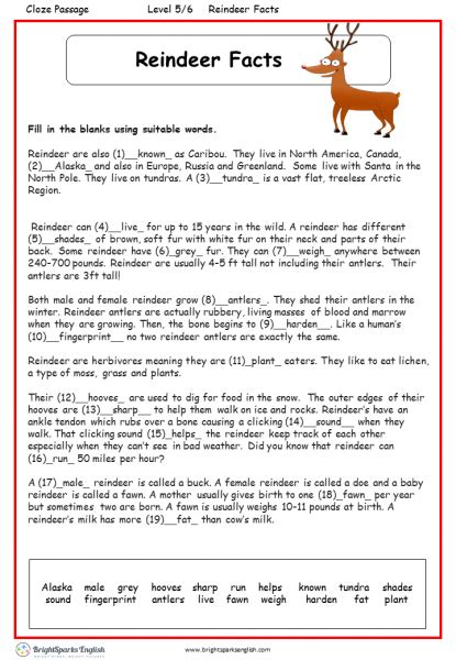 Reindeer Facts English Reading Worksheet – English Treasure Trove