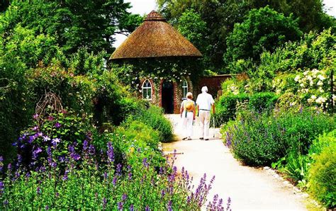 Sussex Gardens to visit near Brighton, Hastings, and Horsham - Great British Gardens