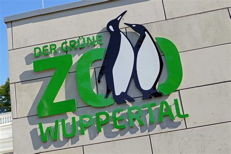 Green Zoo Wuppertal | Die Bergischen Drei