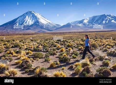 Andes Mountains,volcanoes Licancabur and Juriques, Altiplano, Puna, Atacama desert. Region de ...