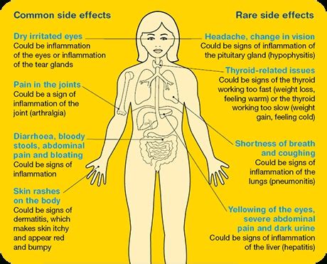 Melanoma Treatment – Systemic Immunotherapy – SKIN CANCER SURGERY WEBSITE