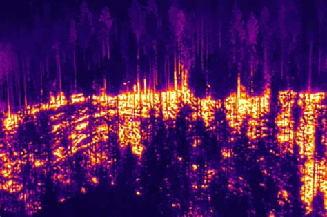 Research promises revolutionary technology for preventing forest fires – a flock of drones can ...