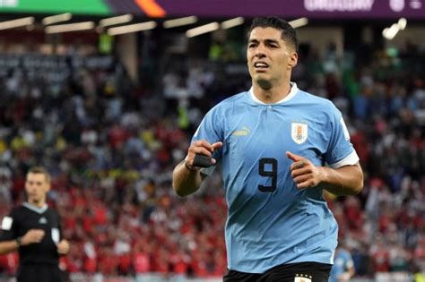 How many players has Uruguay's Luis Suarez bitten? | The US Sun