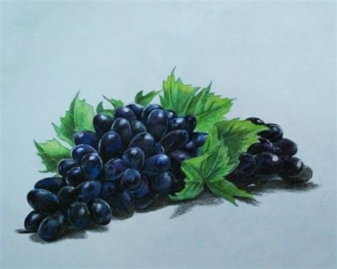 Realistic GRAPES drawing with colour pencils Drawing by Prakash Velpula | Saatchi Art