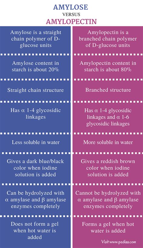 Difference Between Amylose and Amylopectin | Definition, Occurrence ...