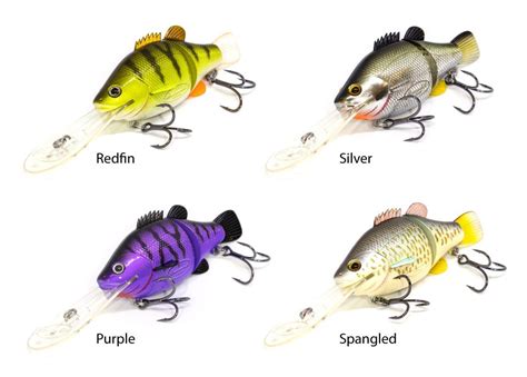 16+ Fishing Lure Types Chart - KarenzaAlec