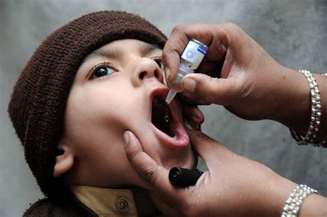 Polio Vaccine, For Clinical, Dattatraya Medical & General Stores | ID: 9909702955