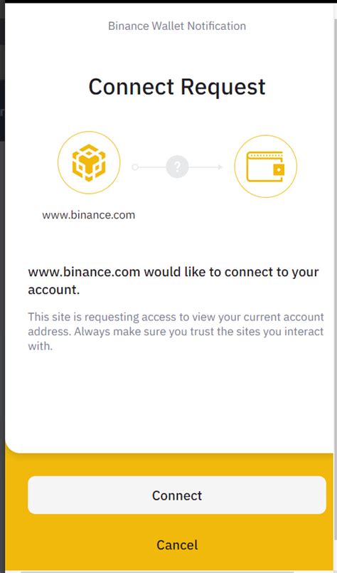 The Beginner's Guide to The Binance Smart Chain Wallet