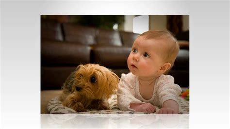 Baby And Kids- funny kids and dogs pictures part 2 - YouTube