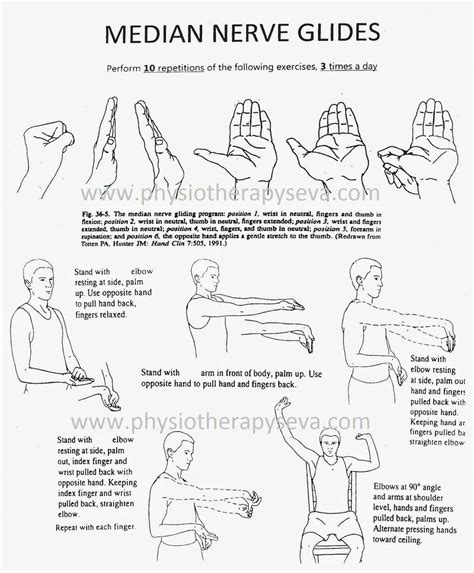 Arms - medial nerve Occupational Therapy Activities, Occupational Therapist, Physical Therapist ...