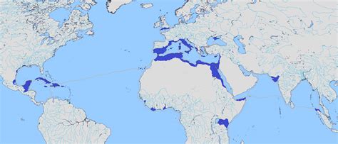 The Carthaginian empire at its territorial peak in the year 117 [W.I.P ...