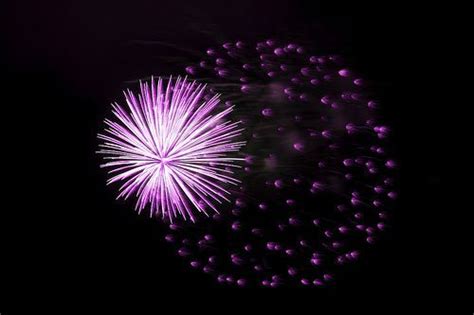 Captivating Purple Fireworks in the Night Sky