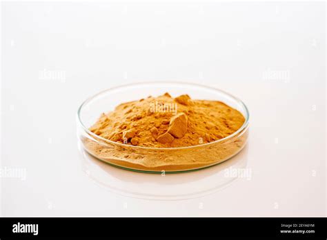 Calcium carbonate hi-res stock photography and images - Alamy