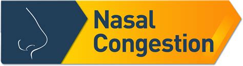 Nasonex 24HR Allergy Relief Nasal Spray, Non-Drowsy Allergy Medicine