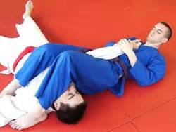 Arm Bar From The Mount - Brazilian Jiu-Jitsu Techniques - Ultimate Jujitsu