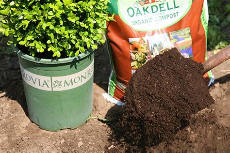 Where To Buy Bulk Organic Compost Near Me