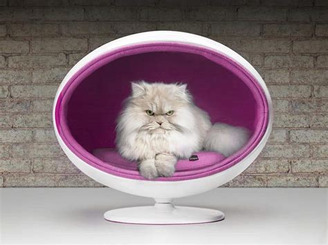 Chic and Cozy Cat Beds: 20 Modern Ideas