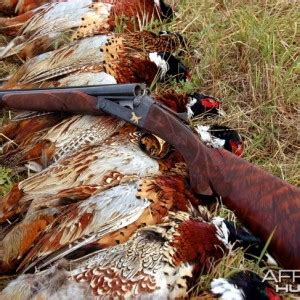 20 gauge Shotgun | AfricaHunting.com