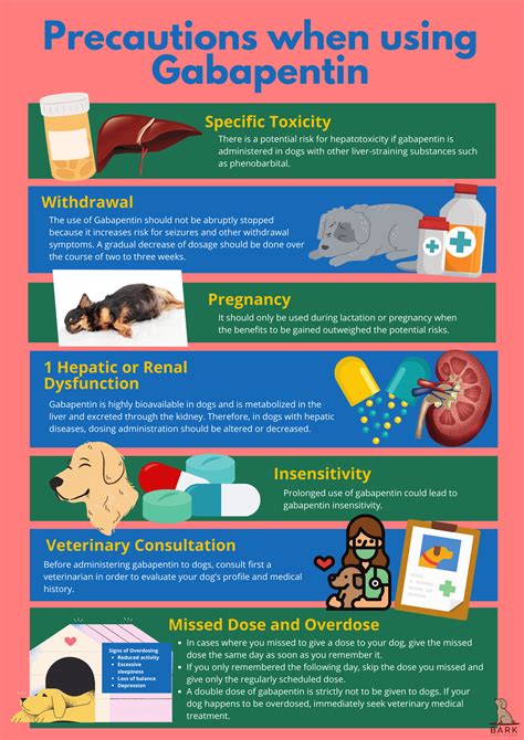 Ultimate Guide To Understanding Gabapentin For Dogs | Bark For More