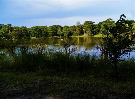 Lakeside View at a Public Park from the Trail Stock Image - Image of trees, sunset: 169956141