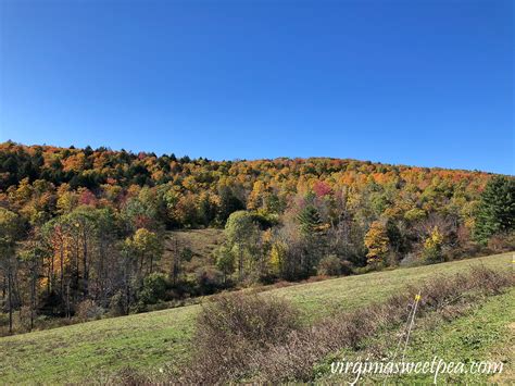 Vermont Fall Vacation - 2020 - Sweet Pea