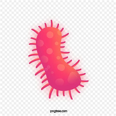 Gambar Bakteri Kuman Virus Ulat Merah, Kuman Clipart, Virus, Patogen ...