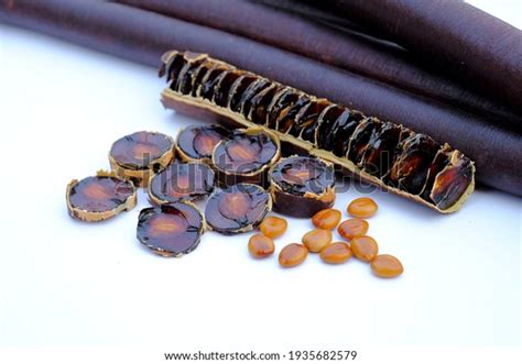 Cassia Fistula Fruit Seed Golden Shower Stock Photo 1935682579 | Shutterstock