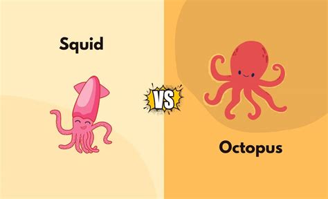 Squid vs Octopus - What's the Difference (With Table)