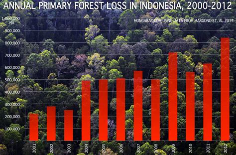 Despite moratorium, Indonesia now has world’s highest deforestation ...