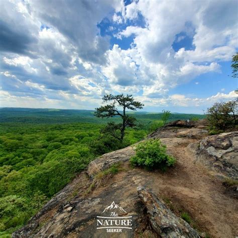 12 Best Hikes in The Hudson Valley Worth Checking Out