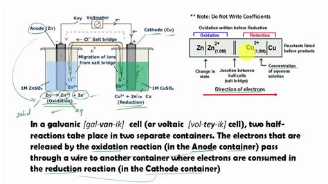 11+ Galvanic Cell Diagram | Robhosking Diagram