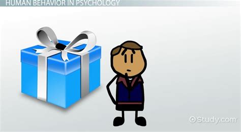 Human Behavior | Definition, Types & Examples - Lesson | Study.com