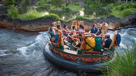 Absolute Best Rides at Animal Kingdom - The Disney World Guide