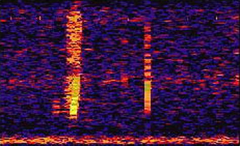 Bloop sound is an unexplained noise from the deep ocean - Strange Sounds