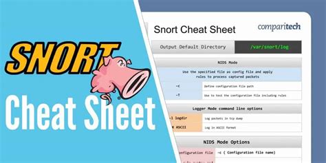 SNORT Cheat Sheet - Downloadable JPG & PDF files | Comparitech