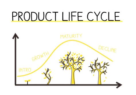 Product Life Cycle Model