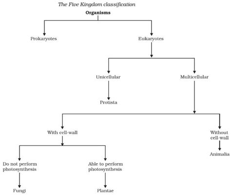 Five Kingdom Classification Monera