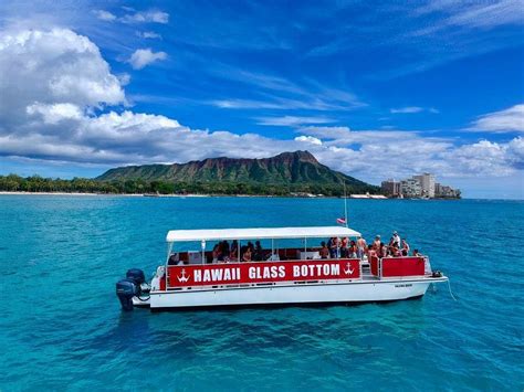 Hawaii Glass Bottom Boat Tours - 391 Photos & 188 Reviews - Boat Charters - 1125 Ala Moana Blvd ...