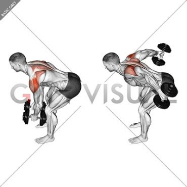 Dumbbell Rear Delt Fly (45 degrees)