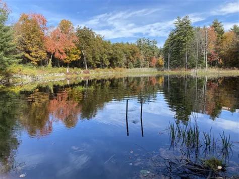 10 Best Hikes and Trails in Quabbin Reservoir | AllTrails