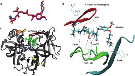 8 (a) The representative structure of aliskiren in DMSO (obtained after ...