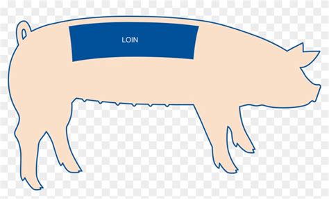 Pork Chops Are The Most Popular Cut From The Pork Loin, - Part Of The Pig Is Pork Loin Clipart ...