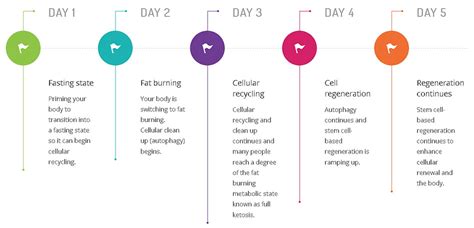 ProLon Fasting Mimicking Diet – The Rothfeld Center