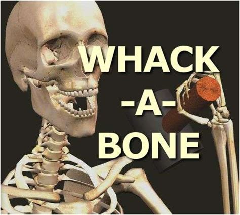 Educational Flash Games: Whack-a-bone by Anatomy Arcade